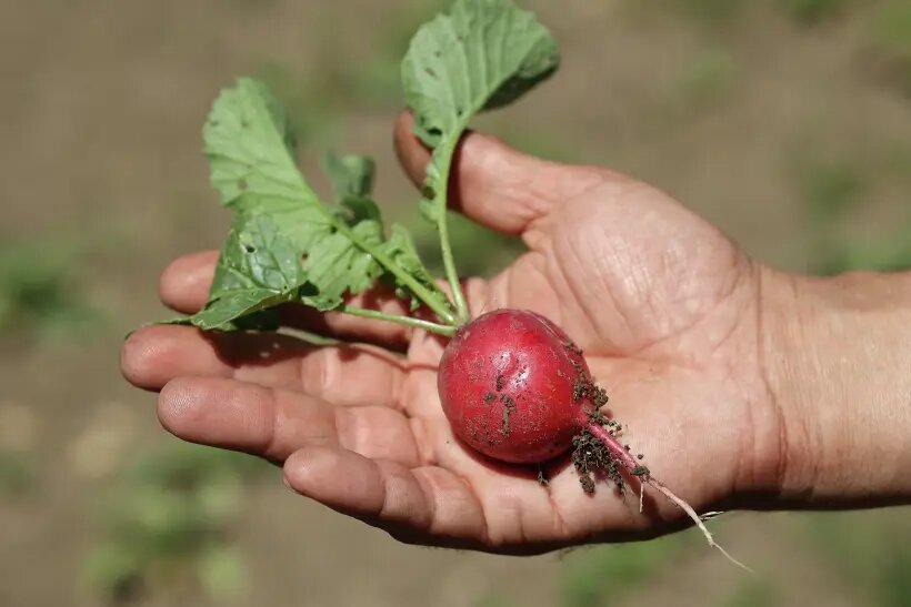     © РИА Новости. Виталий Тимкив