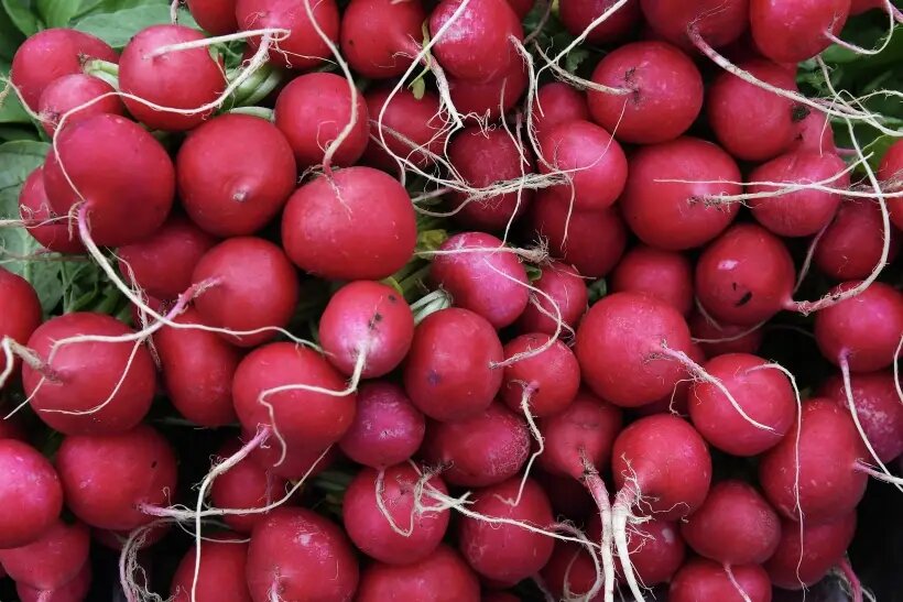  Редис содержит витамины группы В, С, Е и К   © РИА Новости. Виталий Аньков