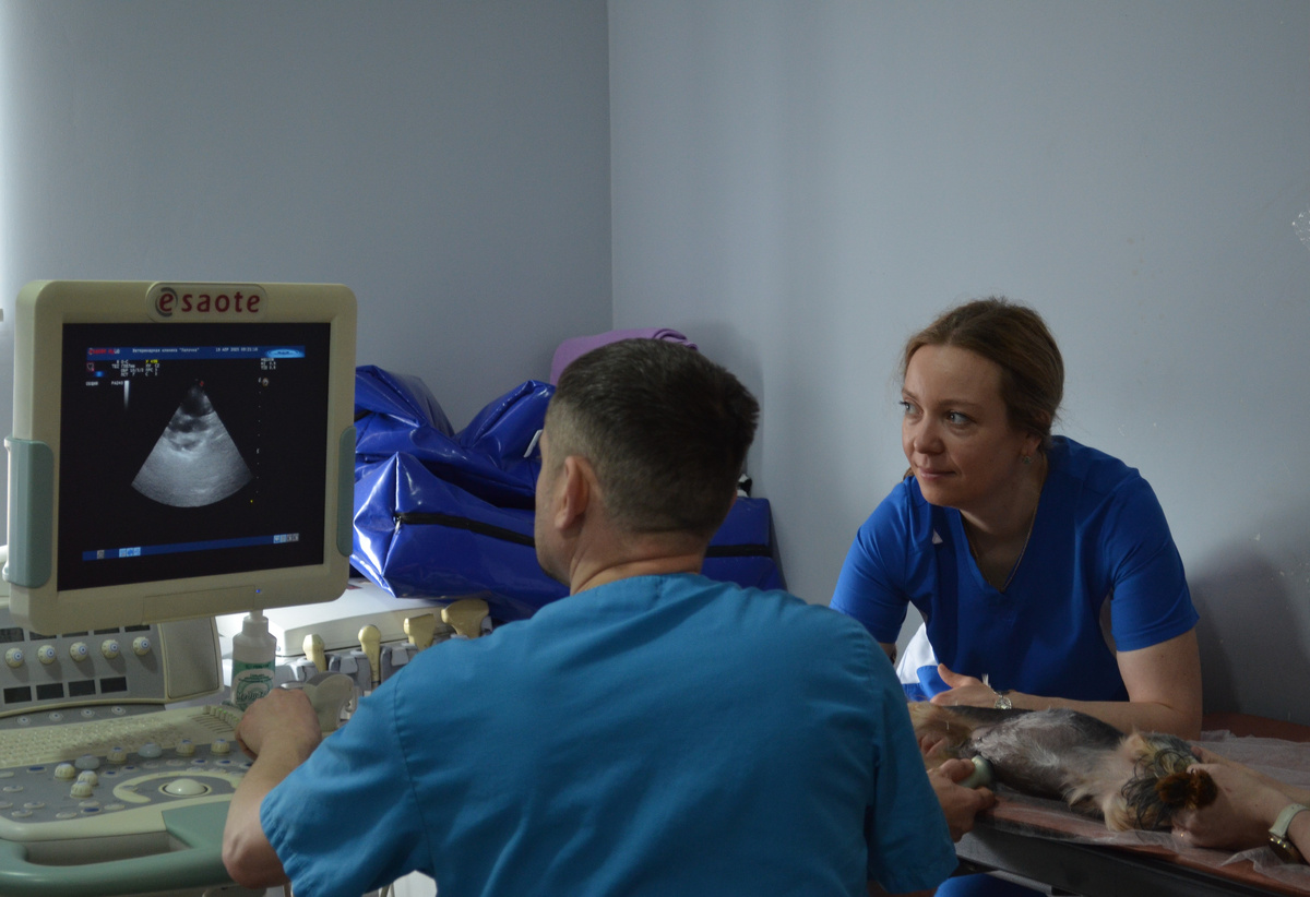 Ярослава и Семен проводят УЗИ-диагностику