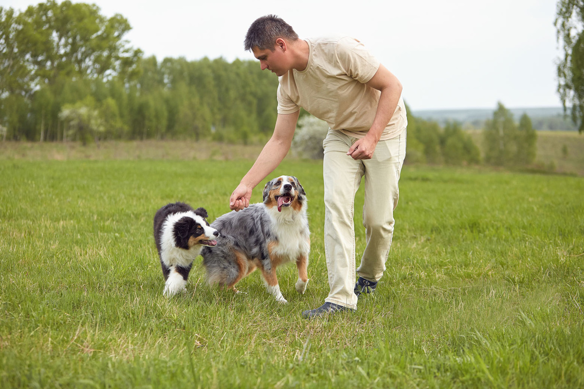Вот в таком настроении девочки каждый раз выходят на утреннюю прогулку. Что написано на лице у меня, я даже показывать не буду