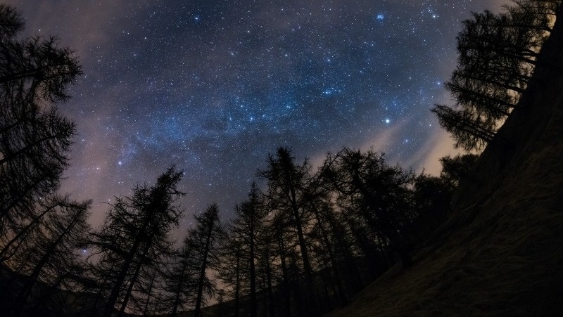      Фото: @fabio.lamanna / freepik.com