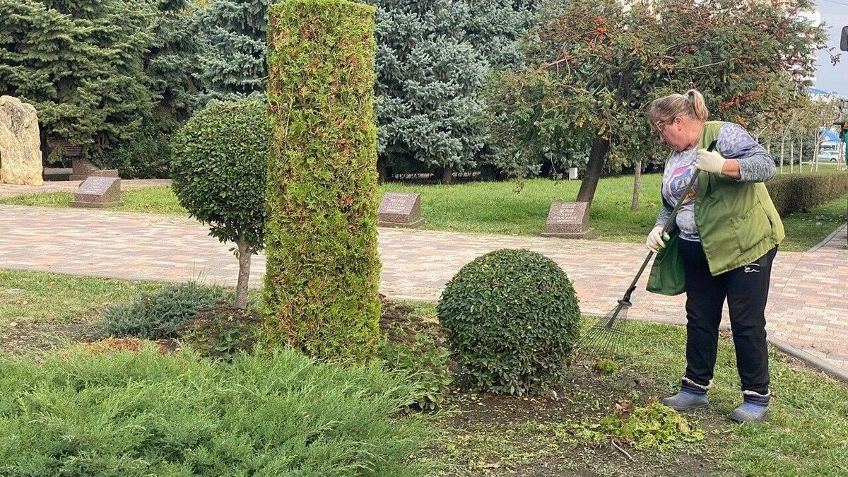     Автор: Администрация города Ставрополя