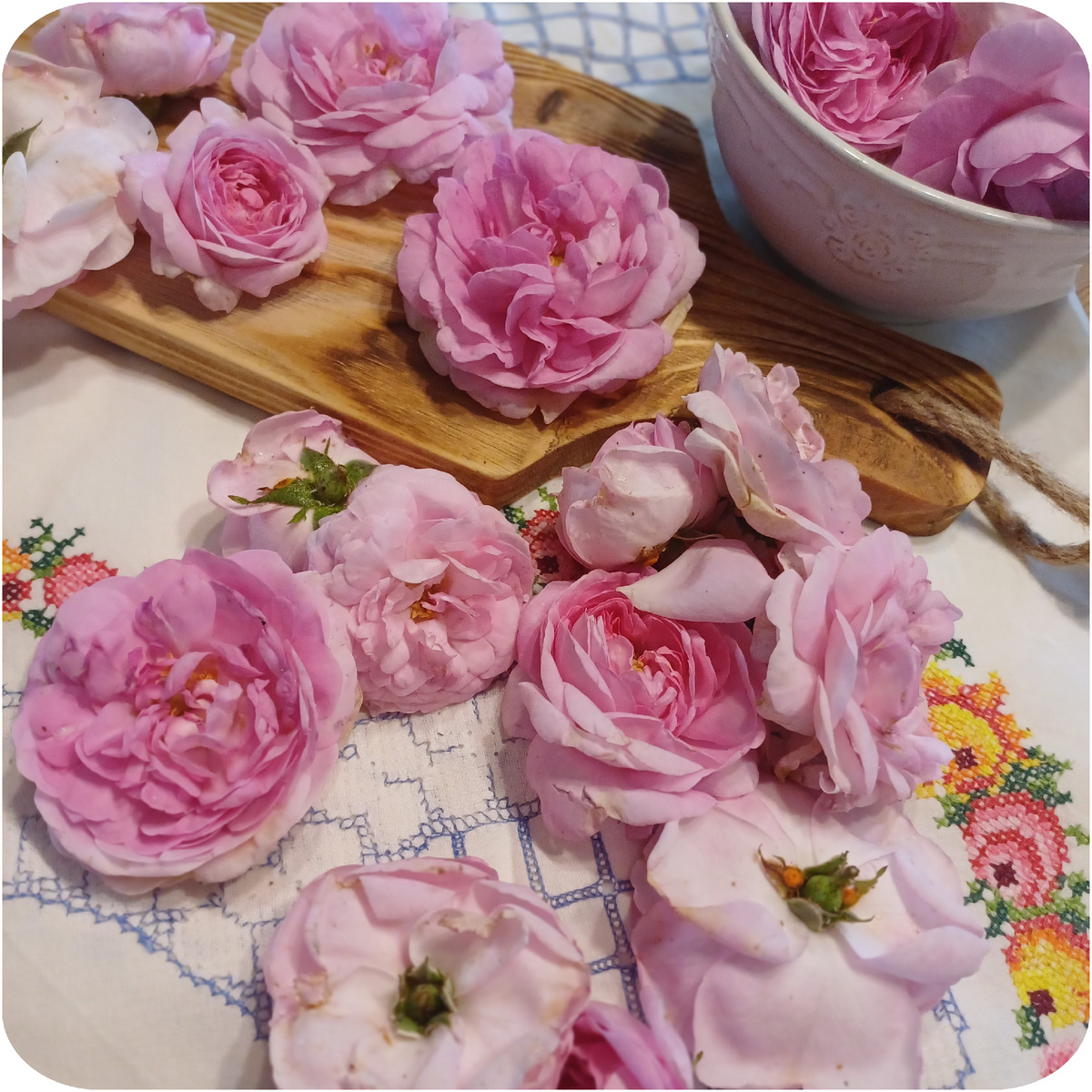 Срезанные розы. Фото автора