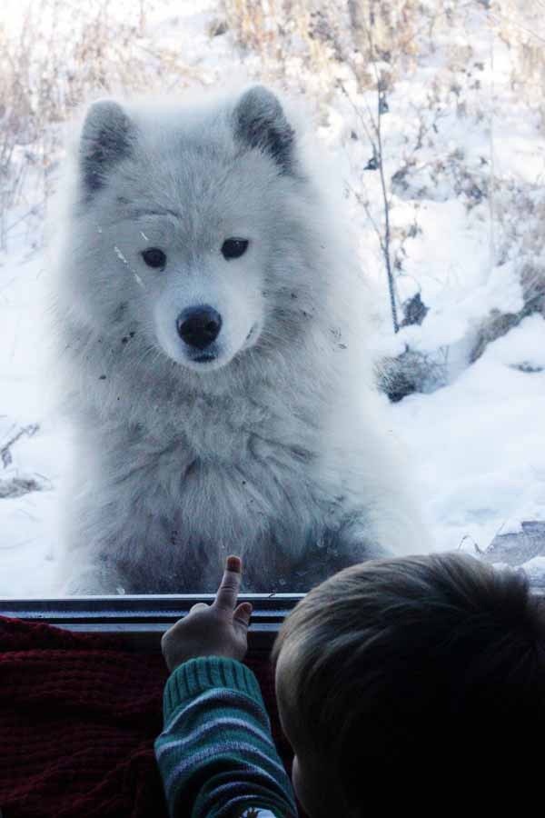 кого только в окно не увидишь, когда живешь бог знает где))