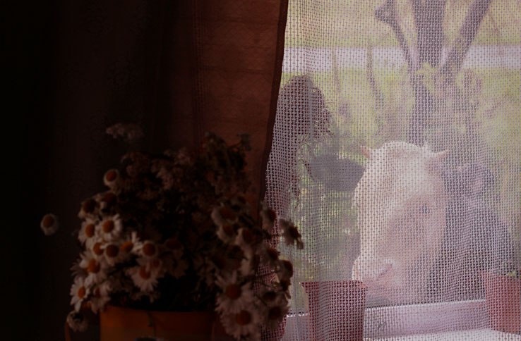 Что только в деревенском окне не привидится