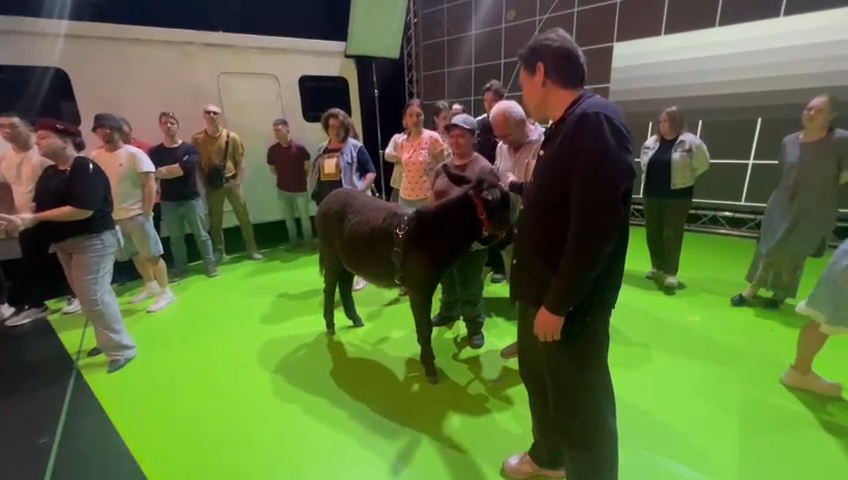     Ослик из красноярского «Роева ручья» станет звездой театра