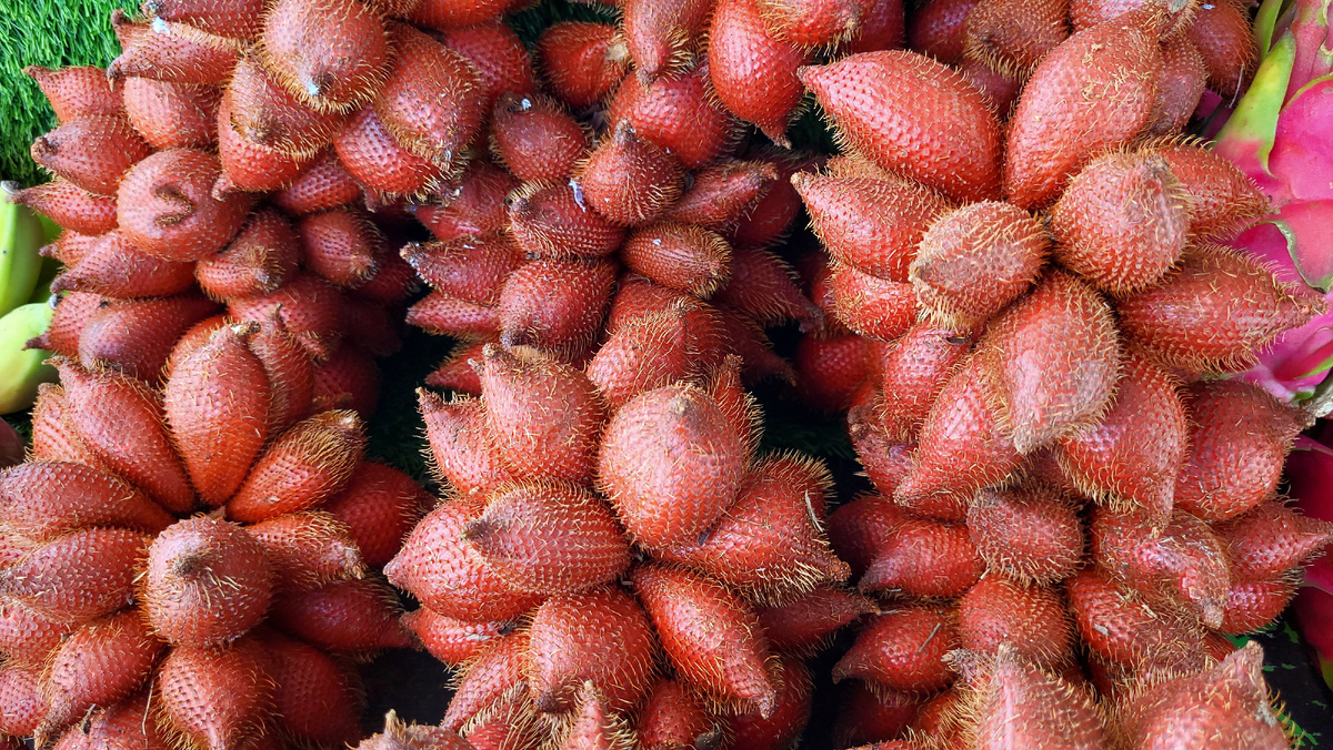 Внешний вид салака