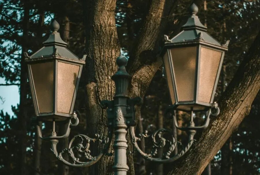 ФОТО Dana Ward on Unsplash