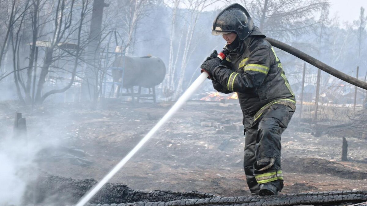    Фото: ИЗВЕСТИЯ/Ботвинский Даниил