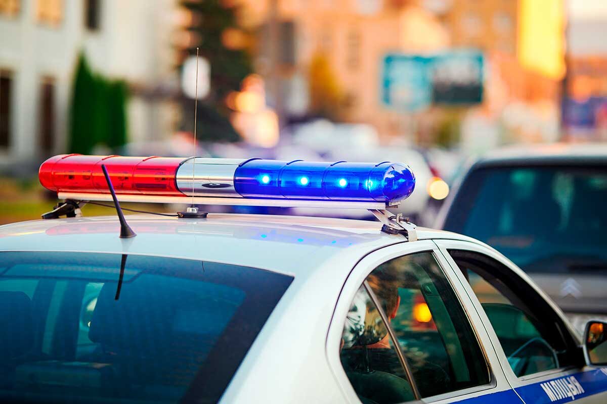    Фото: Tricky_Shark / Shutterstock.com