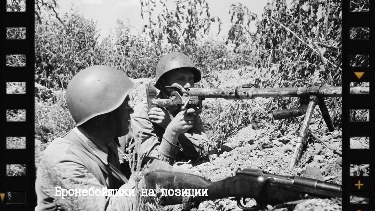 Фото: Ольга Улыбина