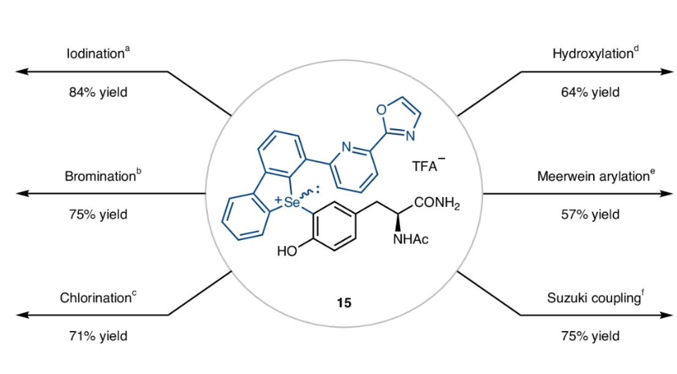   Songyun Lin et al. / Nature Chemistry, 2025