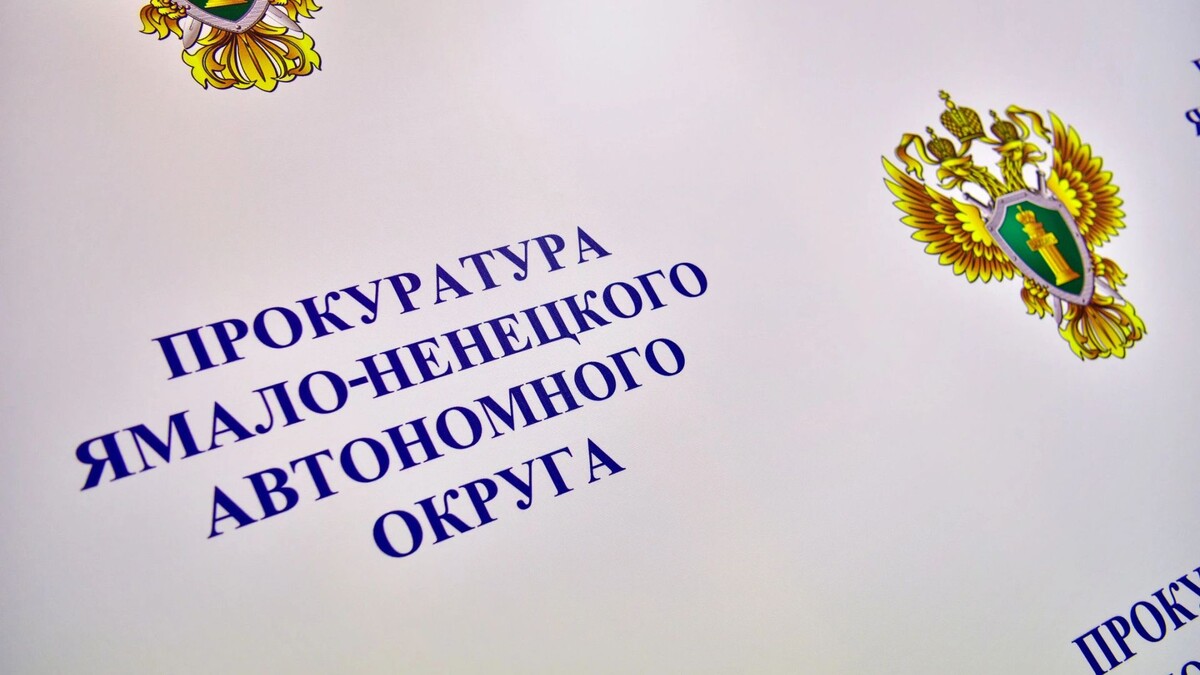    Фото: Андрей Ткачев / «Ямал-Медиа»