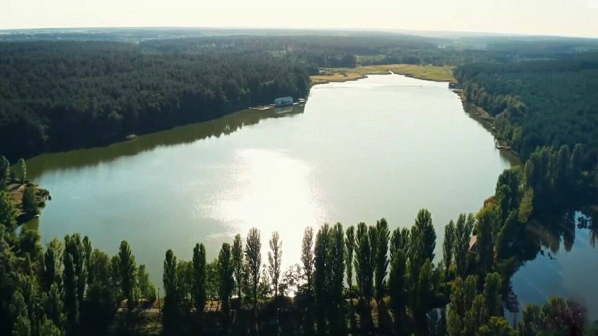 Кадр из сериала "Мертвые лилии"