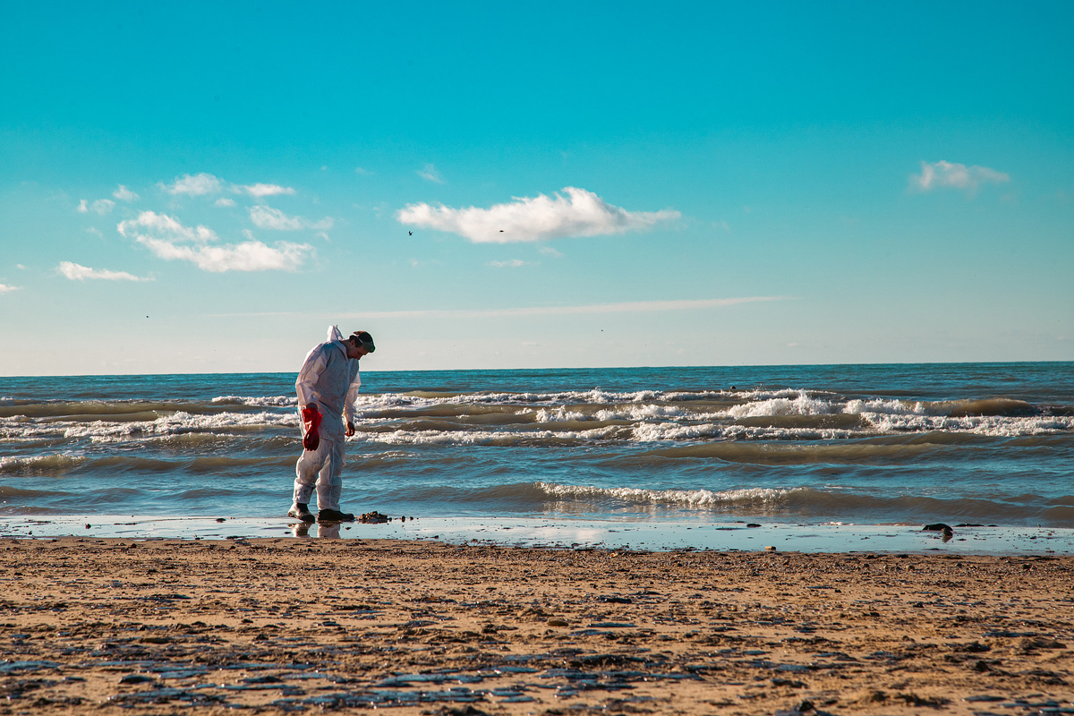 Фото: Краснодарские известия"