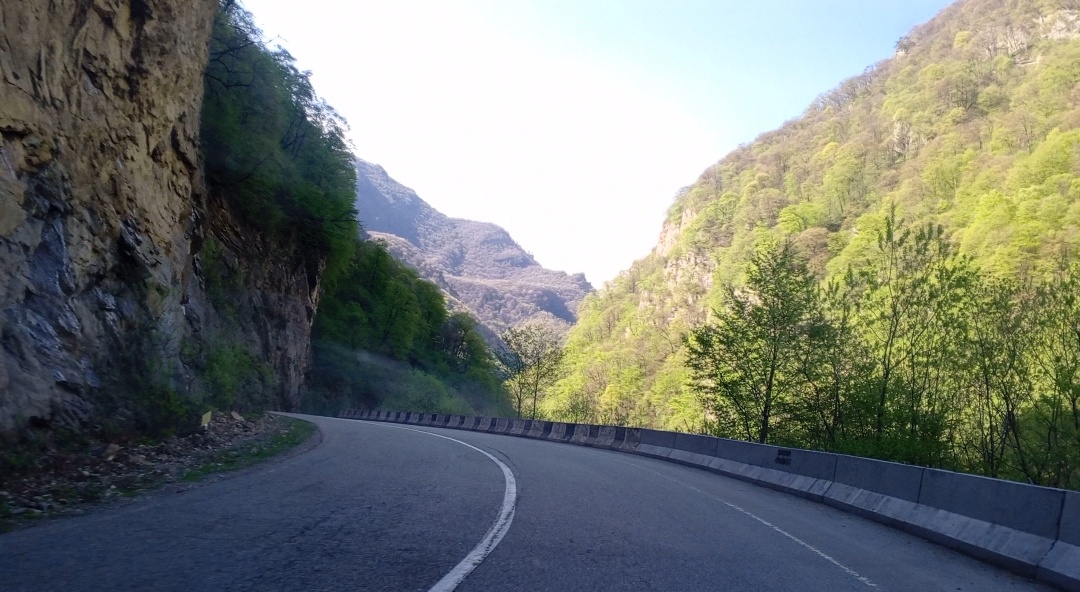 Фото авторов