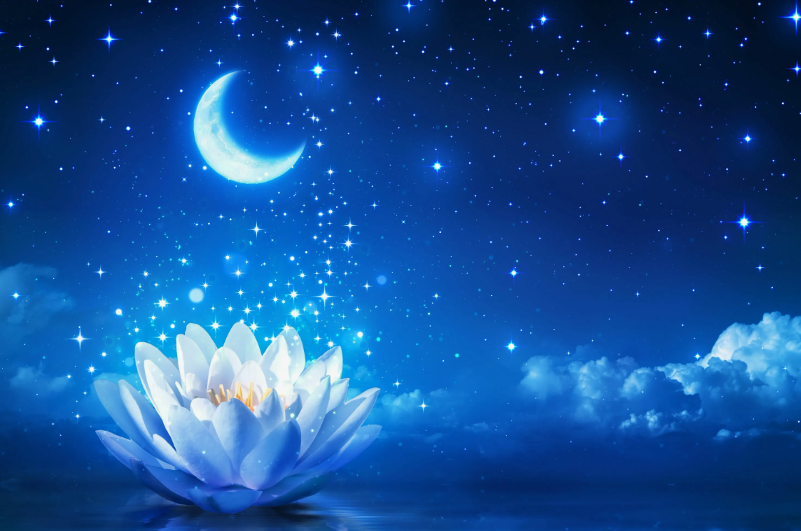 Цветы и звезды