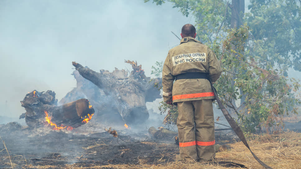 Фото: Олег Харсеев / Коммерсантъ