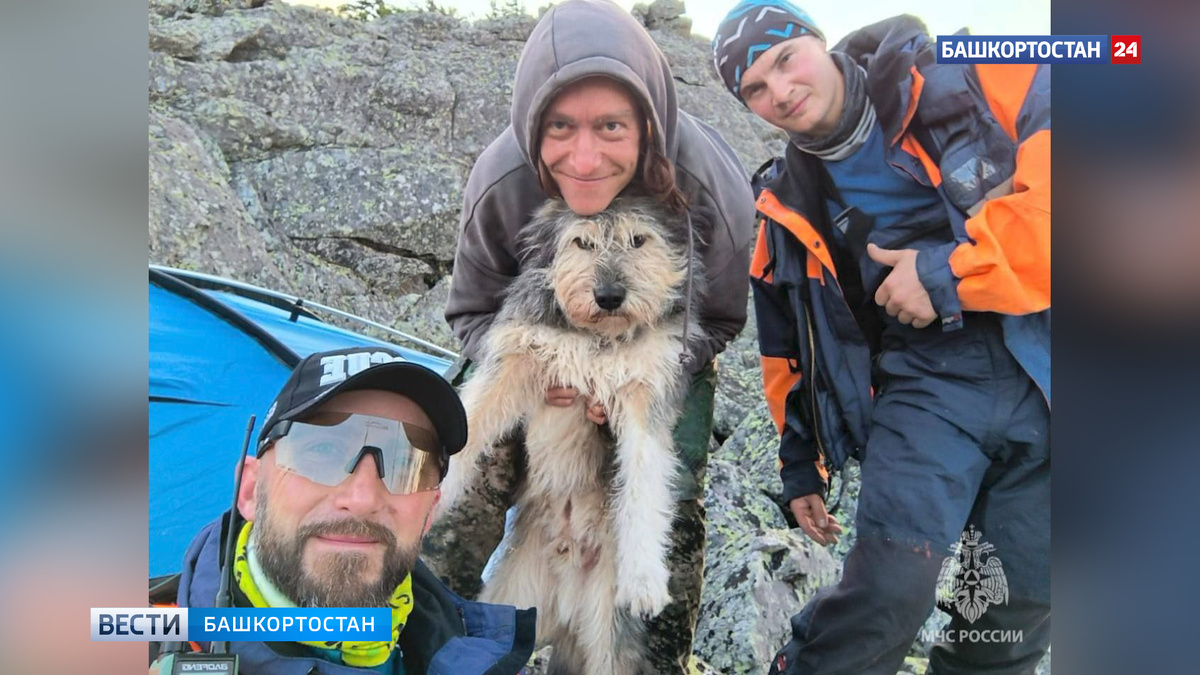    Спасатели показали, как искали туриста с собакой, потерявшихся на горе Иремель в Башкортостане
