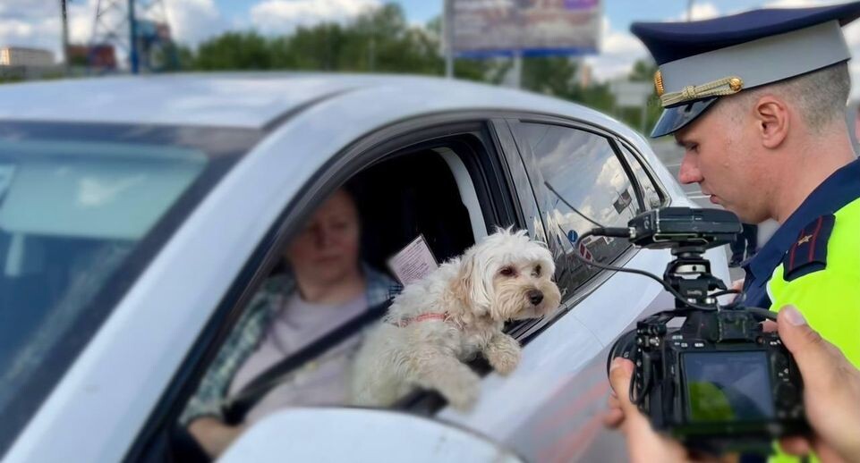    Минтранс Московской области