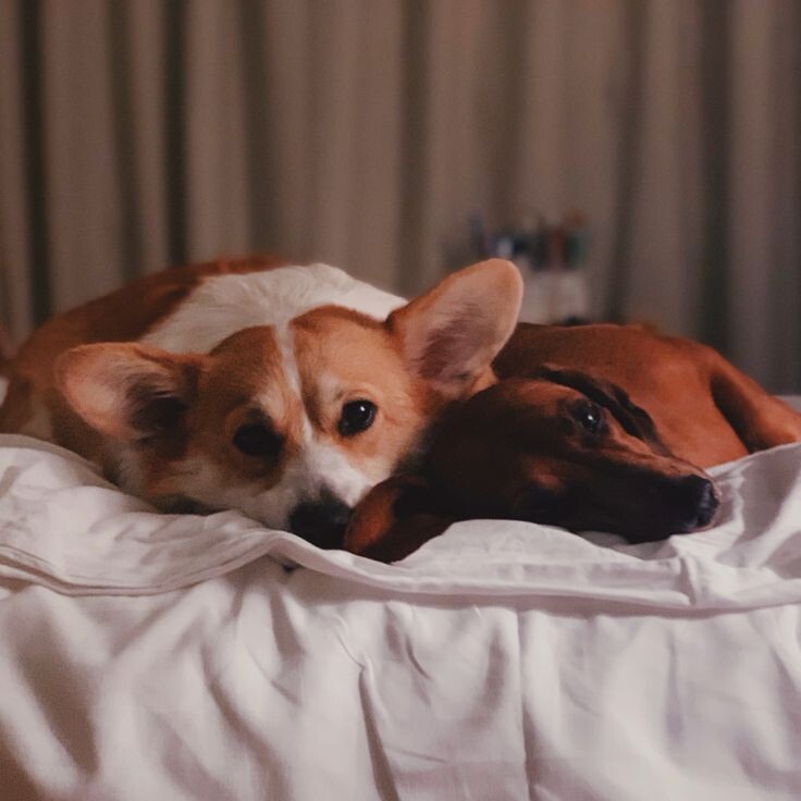 В моих мечтах мы проводим вечера именно так