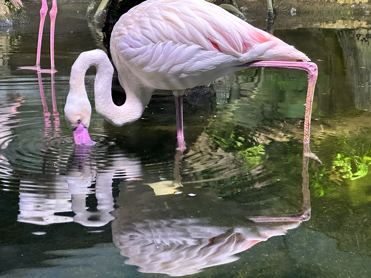 Фото © «Московская газета»