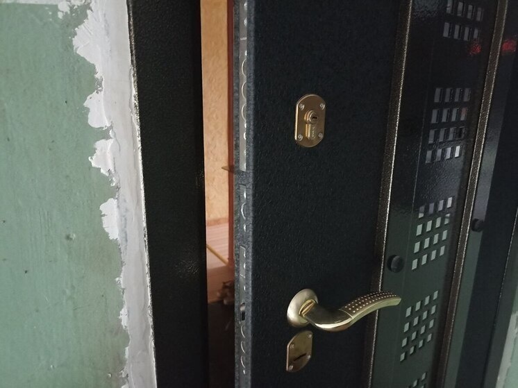     Умные домофоны от «Цифрала» и «Дом.ru» начали массово устанавливаться в Петербурге за счет бюджета несколько лет назад. Фото: архив "МК в Питере".