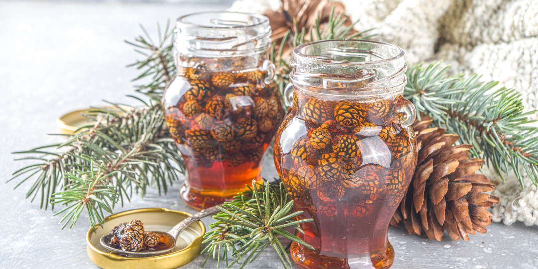 Как приготовить варенье из сосновых шишек?