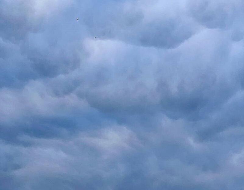    Фото Дениса Демкова admin