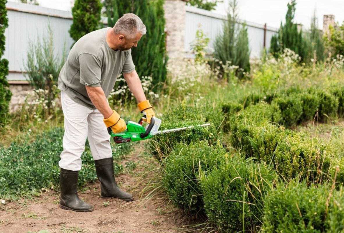 Фото: freepik.com