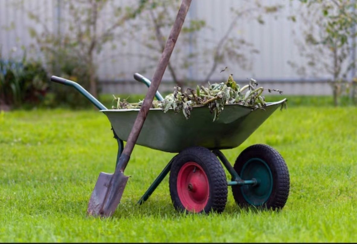 Фото: freepik.com