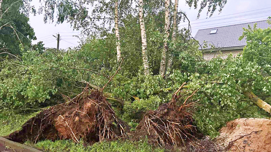     Штормовой разгром: Минская область восстанавливается после урагана