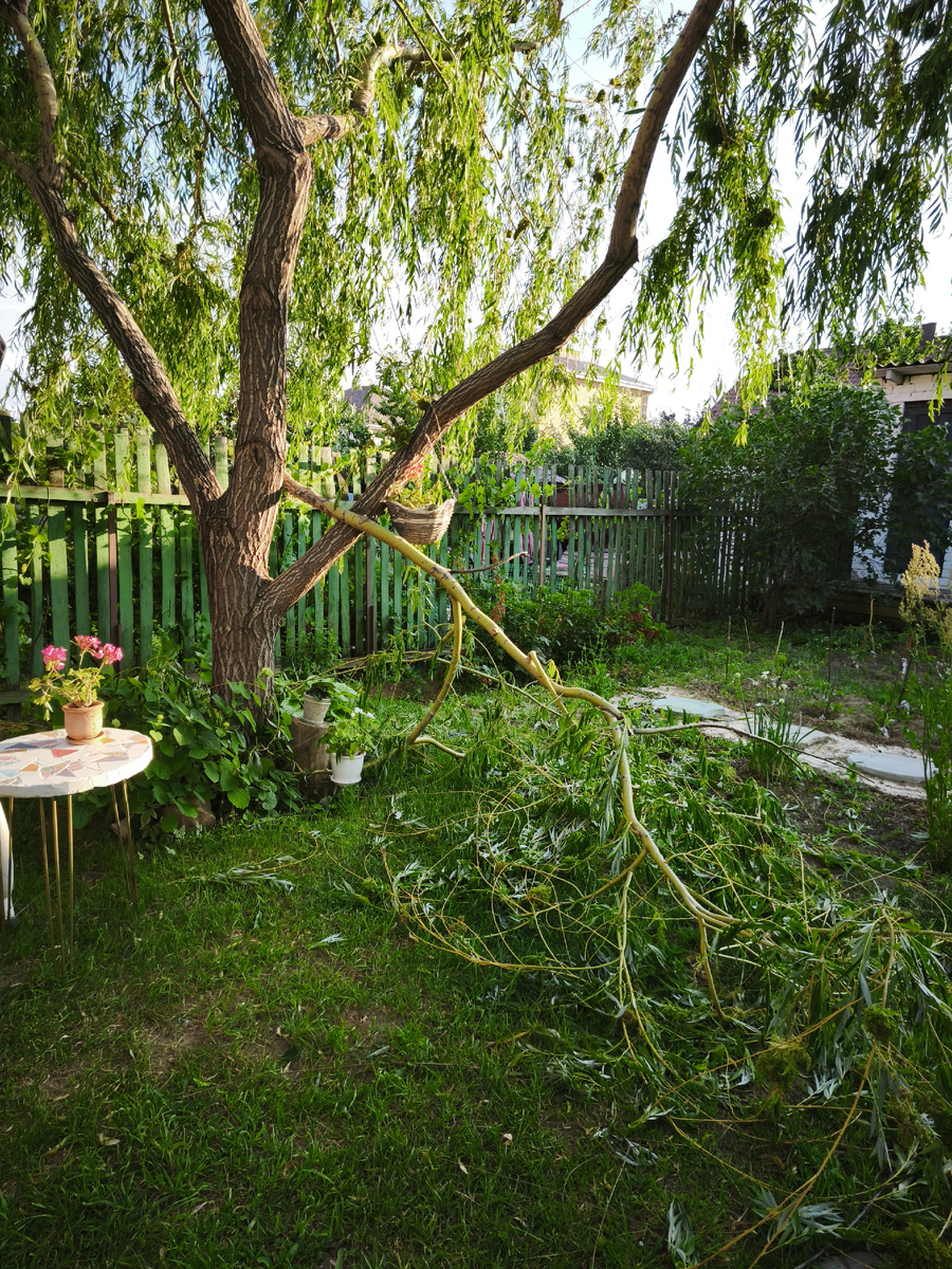 Обломилась и упала, хорошо не на голову