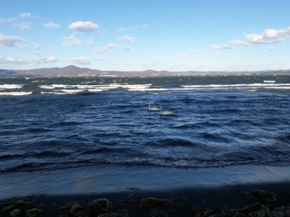 Конечно не гидропланы, но к полетам имеют прямое отношение.