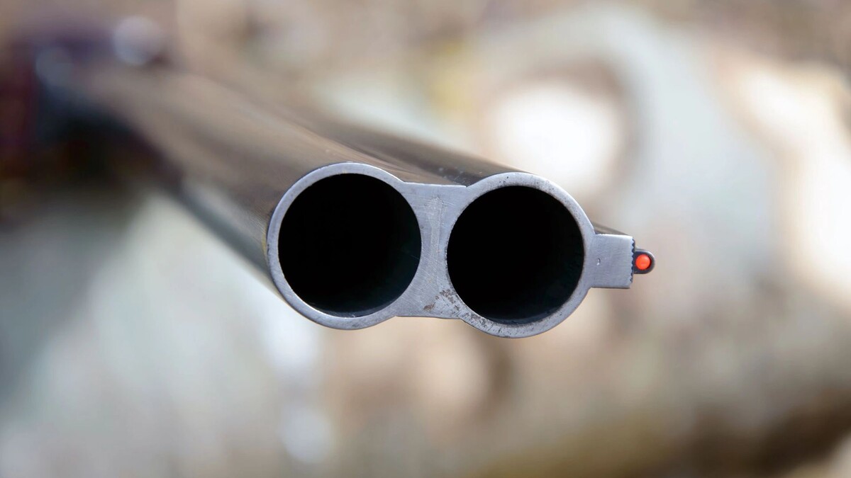    Фото: Natalya Rozhkova/Shutterstock/Fotodom