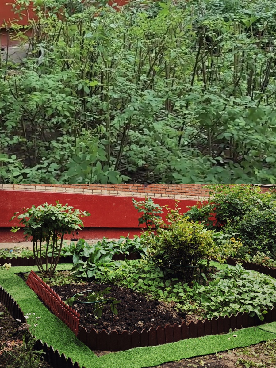 Благодаря настилу дорожек стала возможной посадка цветов - иначе ноги разъезжались по грязи, а одуванчики убивали все остальное за неделю