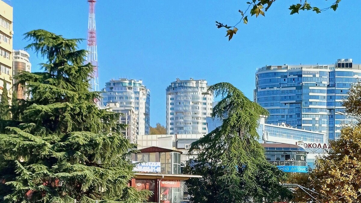     Автор: KubanPress