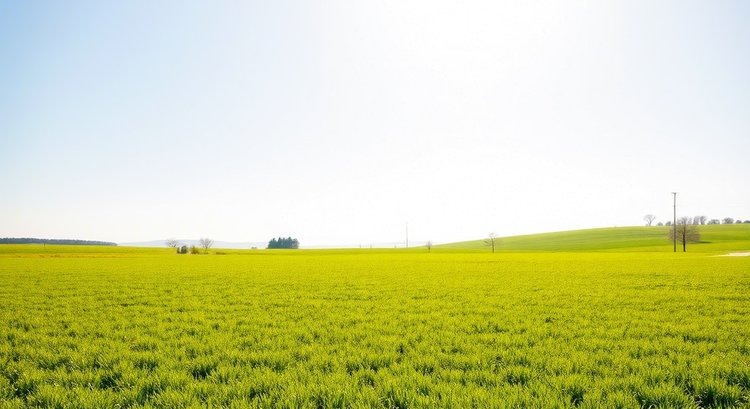    За право на фосфорные удобрения готовы судиться фермеры Северной Ирландии с чиновниками