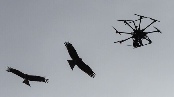    © Sputnik / Александр Кряжев