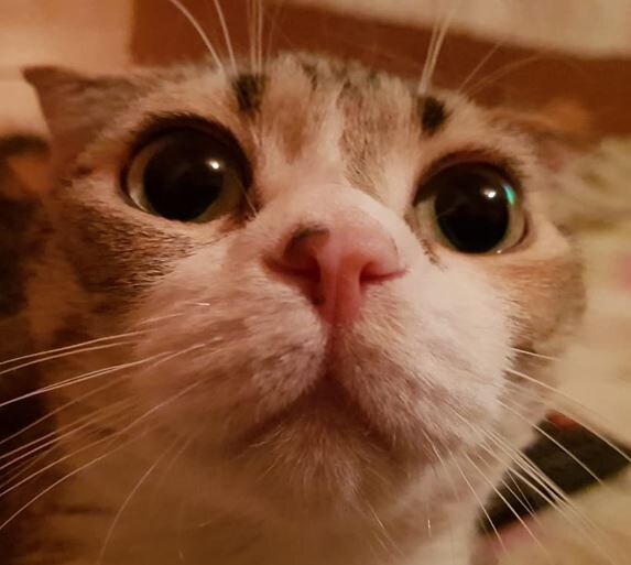 Фото из личного архива