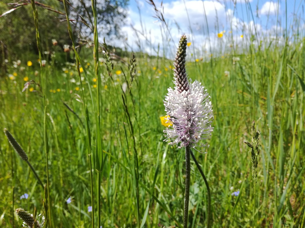все фото - мои