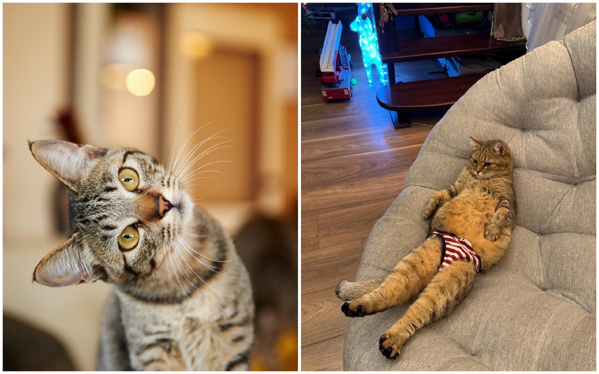 Фото: ne-kurim.ru, vk.com