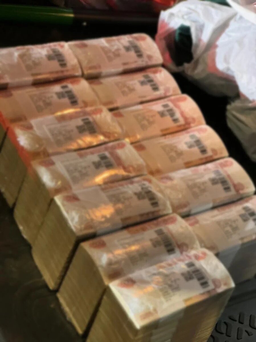    Фото: ГУ МВД по Петербургу и Ленобласти