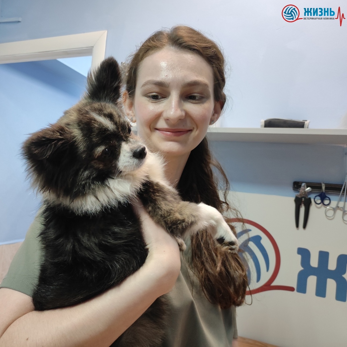 ветеринарная клиника в Калуге Жизнь