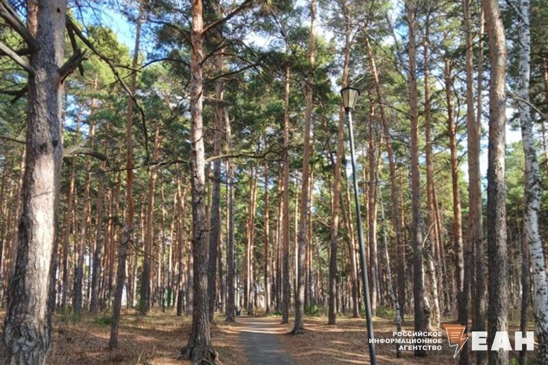    Архивное фото ЕАН