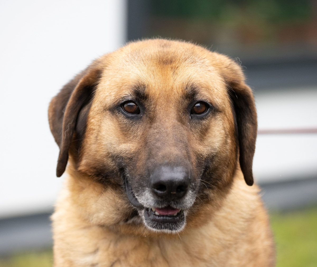 Портреты Джаббара, фотосессия весна 2025 год