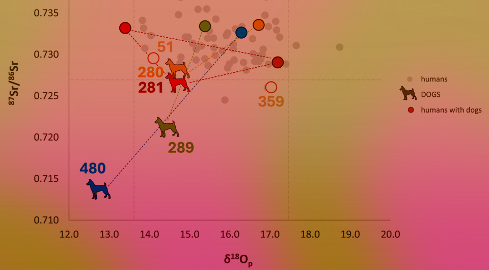   Ulla Nordfors et al. / International Journal of Osteoarchaeology, 2025
