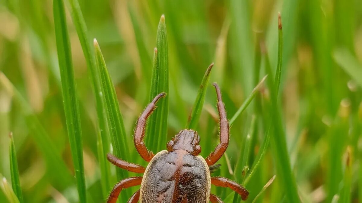    Сгенерировано ИИ