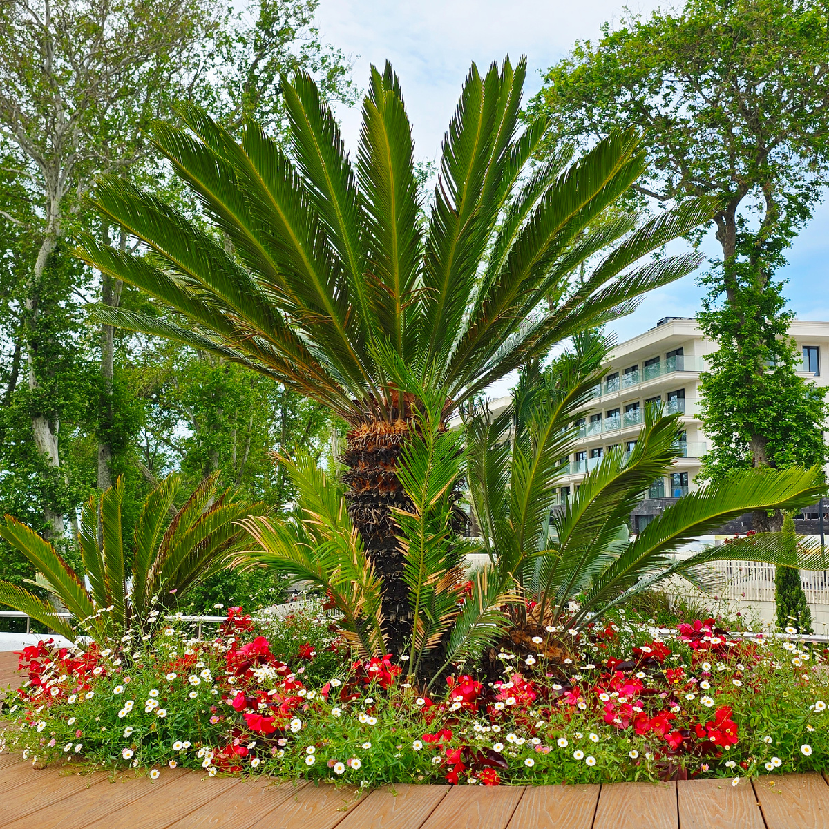 Фото из личного архива