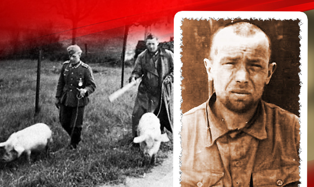 Грабёж оккупантами населения / Василий Григорьевич Гостар